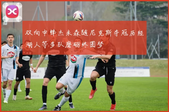 双向中锋杰米森随尼克斯夺冠历经湖人等多队磨砺终圆梦